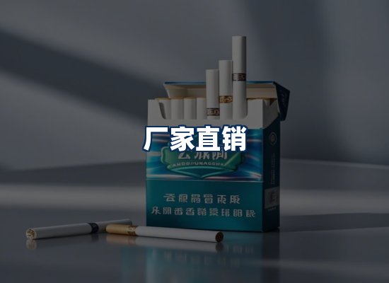 专业团队办公环境